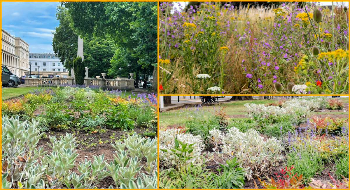 A collage of wildflower patches in Cheltenham